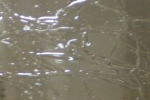 Rosenholzfarbiges Craqueleé Glas